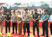 Penanaman Satu Juta Hektare Jagung: Polda Sumut Fokus Produksi Seratus Ribu Ton