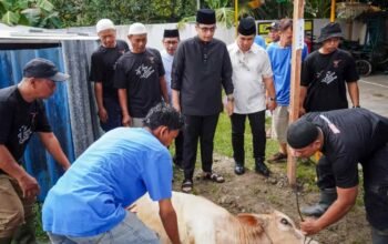 Saksikan Pemotongan Hewan Kurban, Rico Waas Harapkan Berkurban Dapat Bersihkan Hati Dari Sifat Buruk