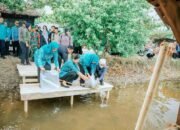 Kahiyang Ayu Tabur 15.000 Benih Ikan, Dorong Swasembada Pangan di Langkat