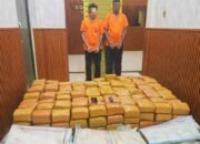 Timsus Ditresnarkoba Polda Sumut Gagalkan Peredaran 255 Kg Ganja Asal Aceh, Dua Kurir Ditangkap