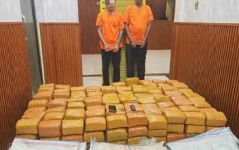 Timsus Ditresnarkoba Polda Sumut Gagalkan Peredaran 255 Kg Ganja Asal Aceh, Dua Kurir Ditangkap