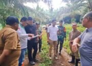 Gubernur Sumut Ubah Lahan Sawit Jadi Hunian Tetap Korban Bencana