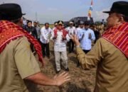 Panen Raya Padi di Karo, Wagub Surya Pastikan Keberpihakan Pemerintah kepada Petani