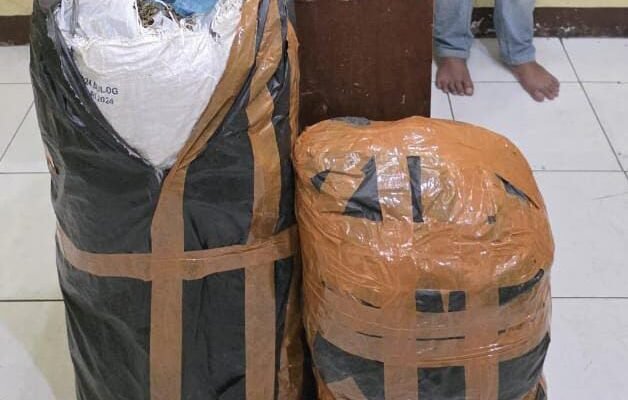 Ditresnarkoba Polda Sumut Gagalkan Peredaran 20 Kg Ganja Asal Aceh, Tiga Pelaku Diamankan di Medan