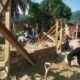 Gotong Royong Bangun Harapan, Brimob dan Warga Dirikan Hunian Tetap Korban Banjir di Tolang Julu