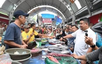 Harga Daging Ayam di Sumut Mulai Turun