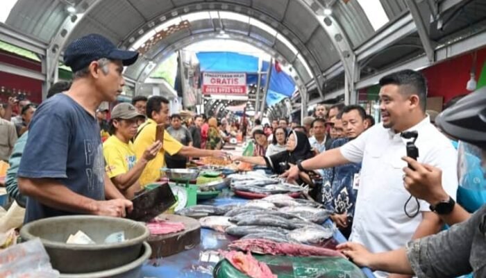 Harga Daging Ayam di Sumut Mulai Turun