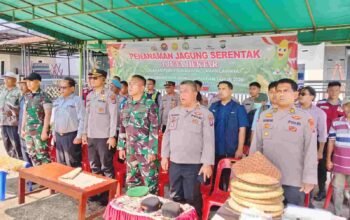 Jajaran Polres Pakpak Bharat Bersama  Forkopimda Dukung Ketahanan Pangan Tanam Benih Jagung Serentak Kuartal I Tahun 2026