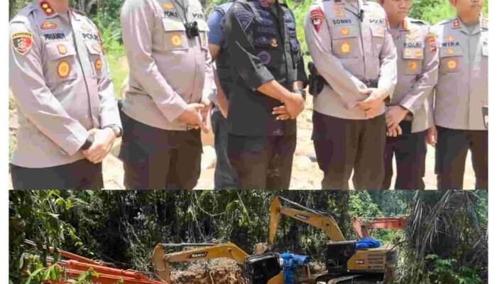 Polda Sumut Bongkar Tambang Emas Ilegal Beromzet Miliaran, 17 Orang dan 14 Ekskavator Diamankan