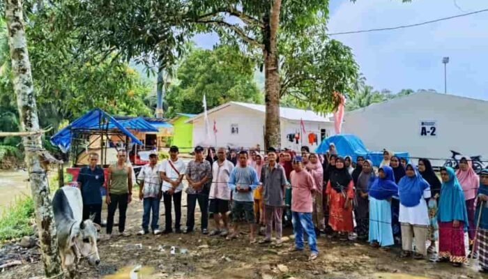 Gubernur Bobby Salurkan 10 Ekor Sapi untuk Korban Bencana di Tapsel dan Tapteng Jelang Lebaran