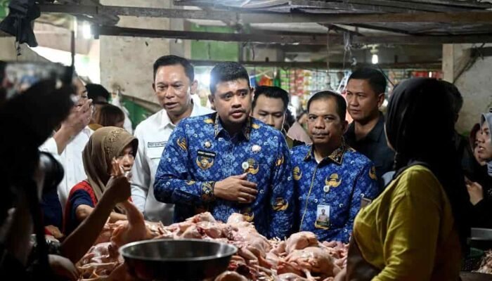 Pemprov Sumut Pastikan Stok dan Distribusi Minyakita Aman, Harga Mulai Stabil