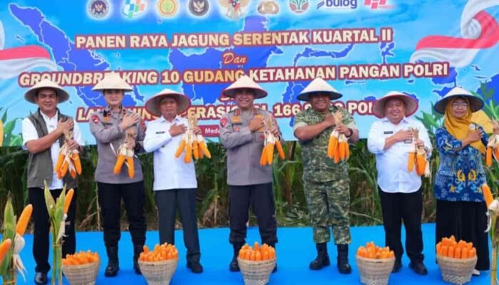 Polda Sumut Ikuti Panen Raya Jagung Serentak Polri Bersama Presiden Prabowo, Dukung Ketahanan Pangan Nasional