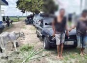 Warga Hubungi 110, Dua Pencuri Anak Lembu di Simalungun Dibekuk Usai Kabur Pakai Sedan dan Tabrak Pemotor