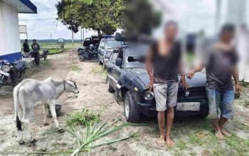 Warga Hubungi 110, Dua Pencuri Anak Lembu di Simalungun Dibekuk Usai Kabur Pakai Sedan dan Tabrak Pemotor