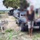 Warga Hubungi 110, Dua Pencuri Anak Lembu di Simalungun Dibekuk Usai Kabur Pakai Sedan dan Tabrak Pemotor