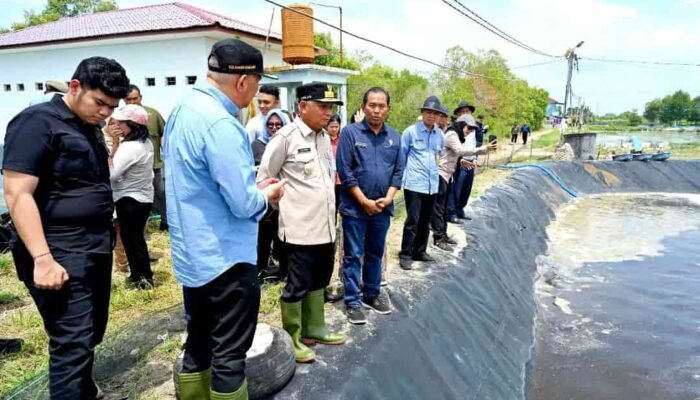 Tinjau UPTD BIAPAL Sialang Buah, Wagub Sumut Surya Dorong Peningkatan PAD Sektor Perikanan