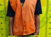 Bekuk Pengedar Narkoba, Satres Narkoba Polresta Deli Serdang amankan Barang Bukti