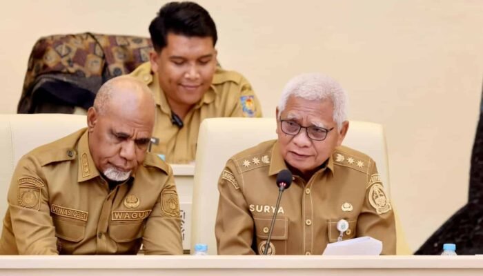 RDP dengan Komisi II DPR RI, Wagub Surya Paparkan Strategi Optimalisasi Aset dan BUMD untuk Dongkrak PAD Sumut