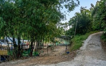 Isu Bandar Narkoba di Kp Tempel Perdagangan, Warga Desak APH Turun Tangan